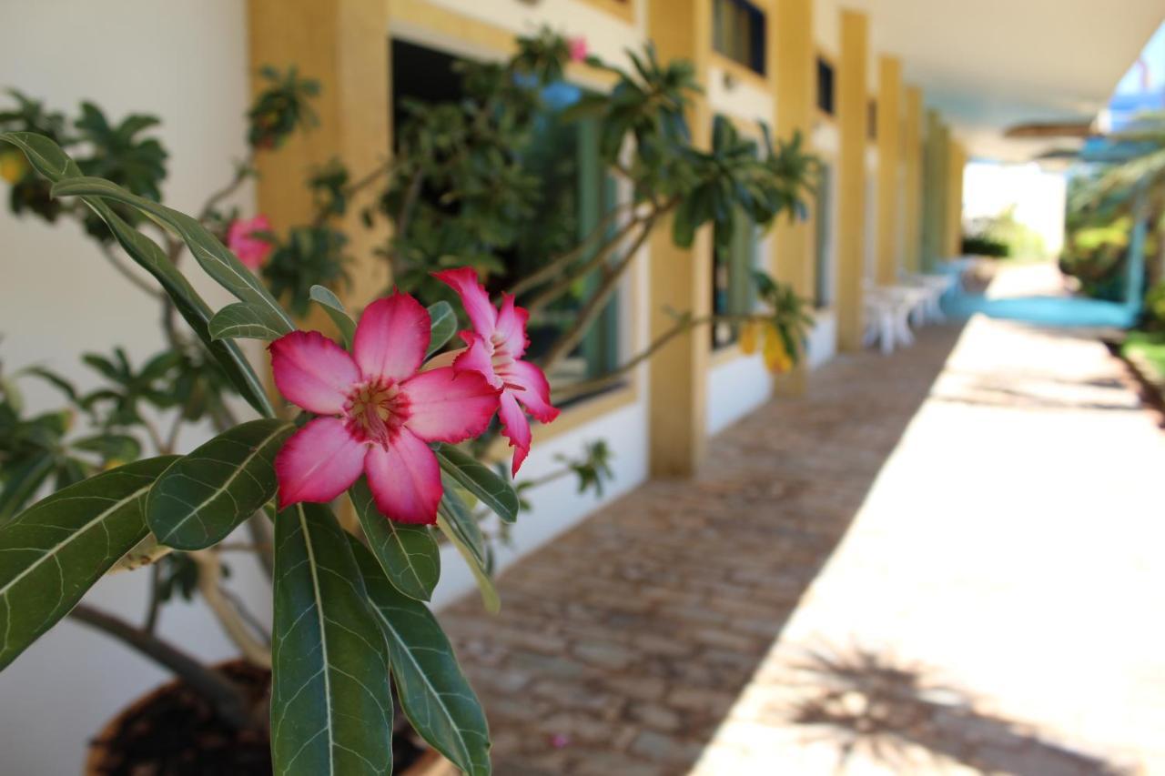 Grandes Lagos Park Hotel Jales المظهر الخارجي الصورة
